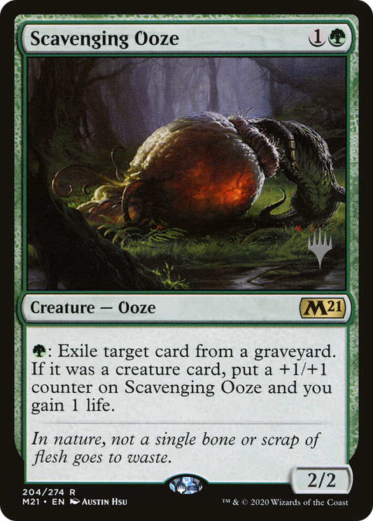 Scavenging Ooze (204) (Promo Pack) - Foil