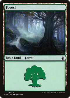 Forest (317)