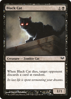 Black Cat - Foil