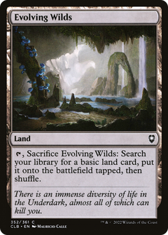 Evolving Wilds - Foil