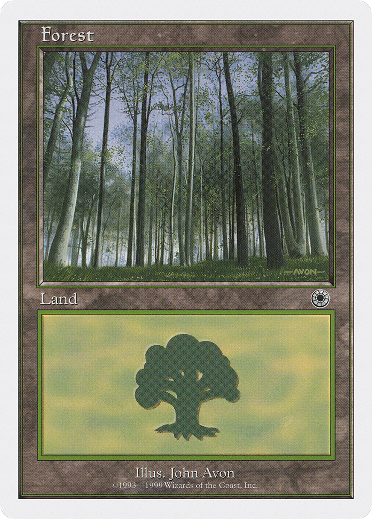 Forest (Birch Trees)
