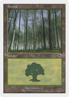 Forest (Birch Trees)