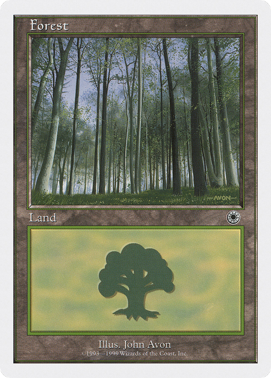 Forest (Birch Trees)