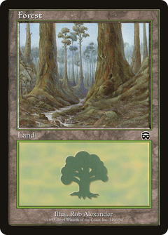 Forest (349)