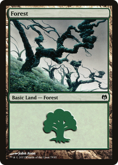 Forest (78)