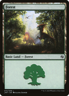 Forest (073)