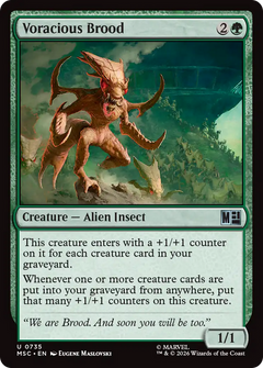 Voracious Brood (MSC) - Foil