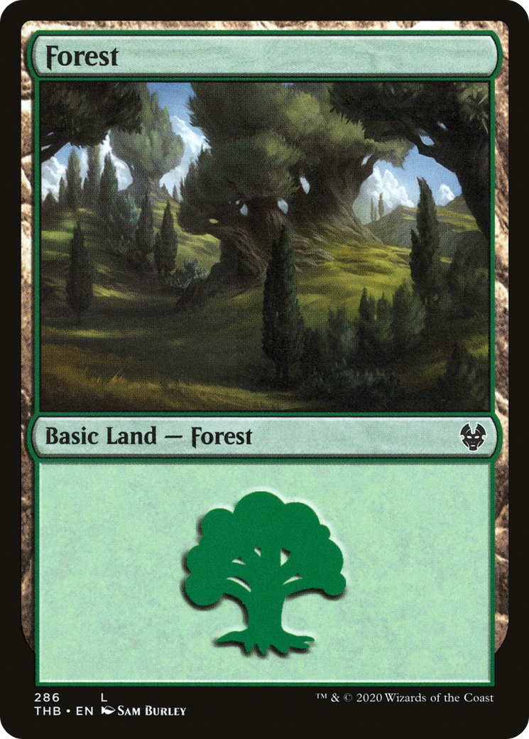 Forest (286)