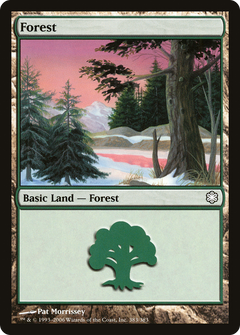 Forest (383)