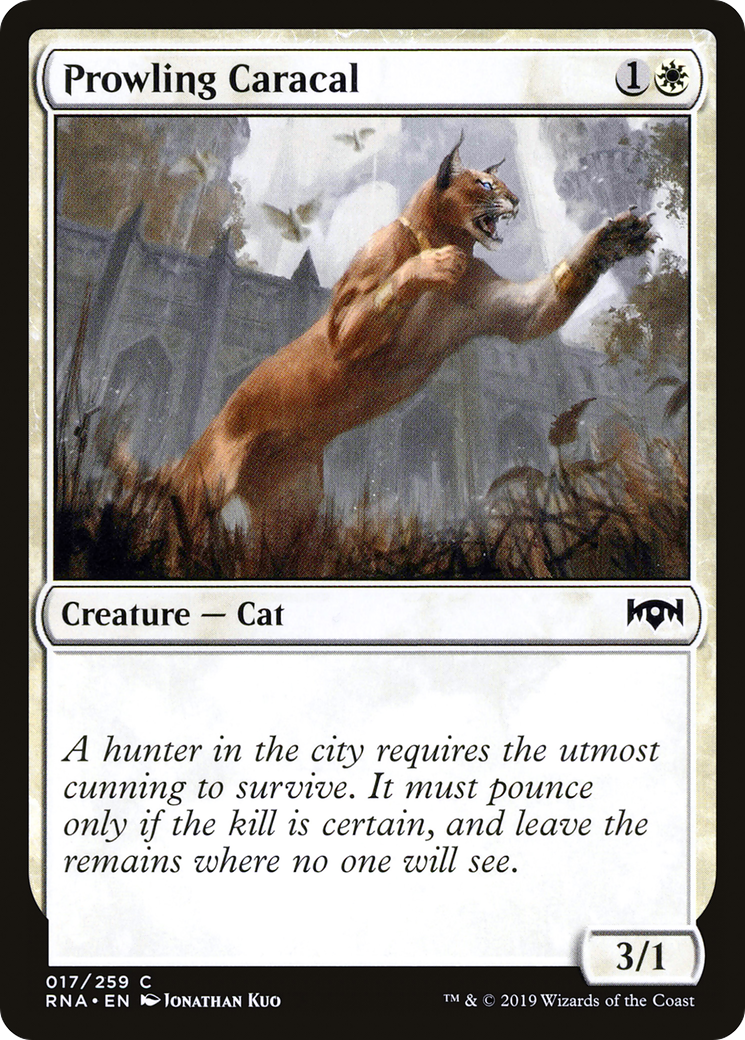 Prowling Caracal - Foil