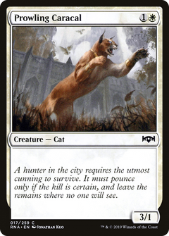 Prowling Caracal - Foil