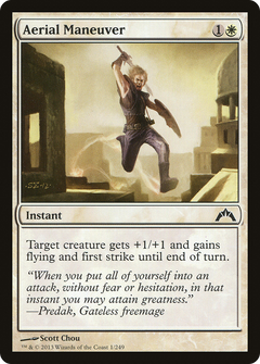 Aerial Maneuver - Foil