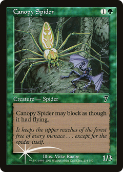 Canopy Spider - Foil