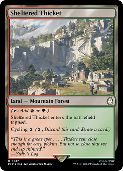 Sheltered Thicket (0817) - Surge Foil