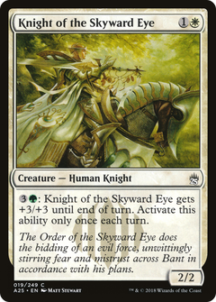 Knight of the Skyward Eye - Foil