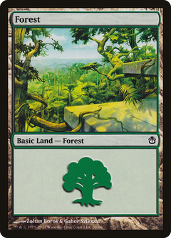 Forest (38)