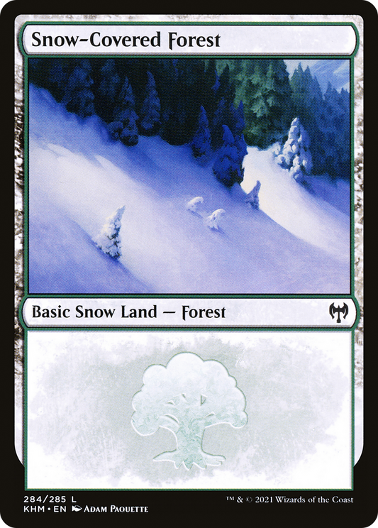 Snow-Covered Forest (284)