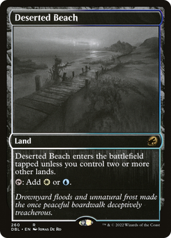 Deserted Beach - Foil