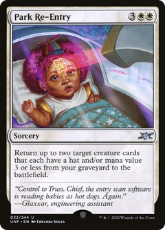Park Re-Entry - Foil