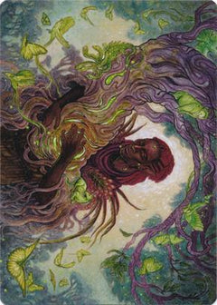 Circle of Dreams Druid (66/81) Art Card