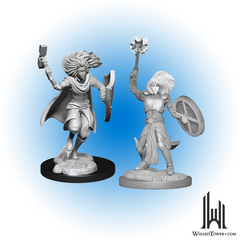 Unpainted Miniature - Dungeons & Dragons - Changeling Cleric