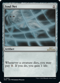 Soul Net (Modern Frame)