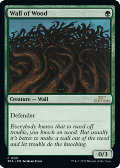 Wall of Wood (Modern Frame)