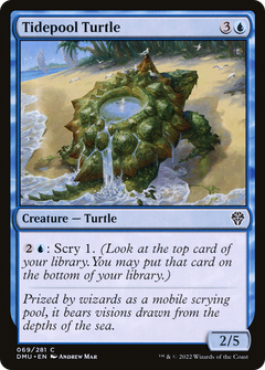 Tidepool Turtle - Foil