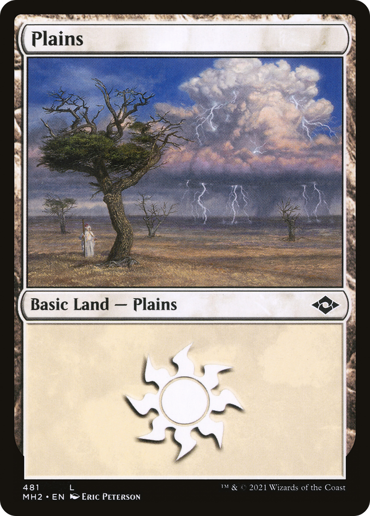 Plains (481) - Foil Etched