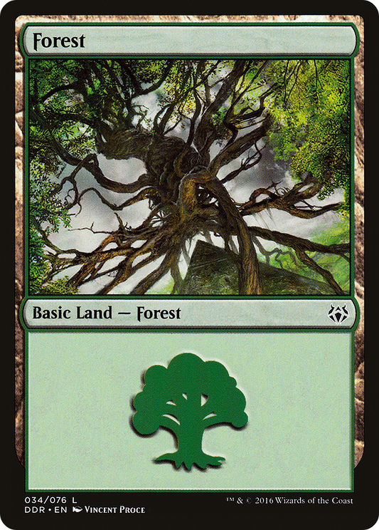 Forest (034)