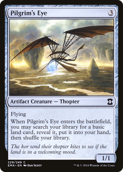 Pilgrim's Eye - Foil