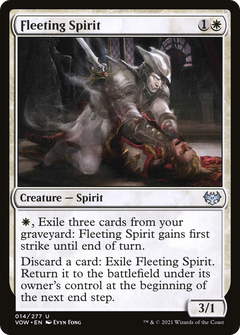 Fleeting Spirit