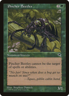 Pincher Beetles