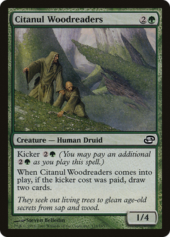 Citanul Woodreaders - Foil