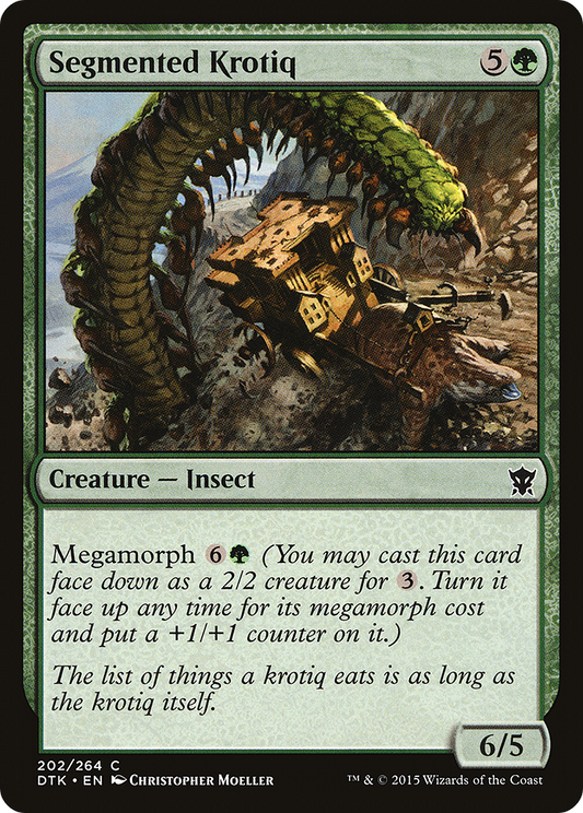 Segmented Krotiq - Foil