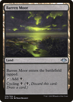 Barren Moor - Foil