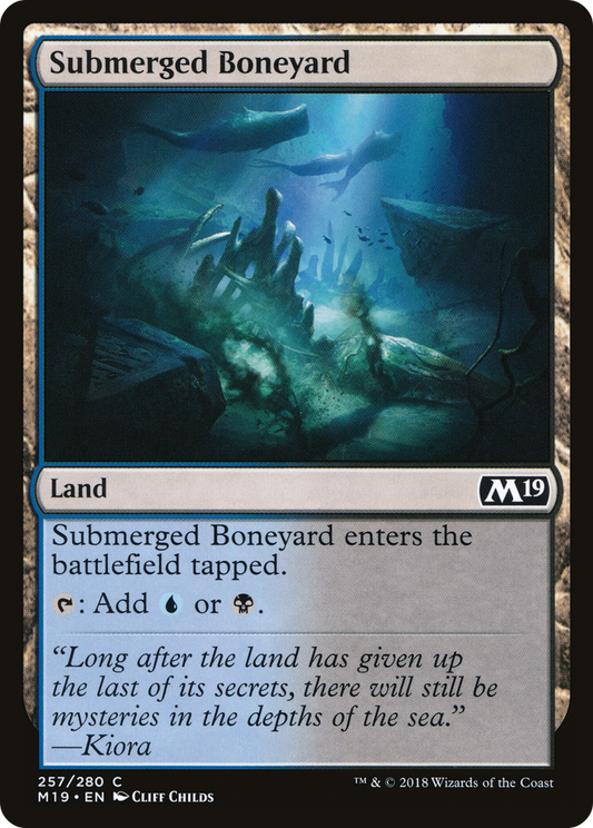 Submerged Boneyard - Foil
