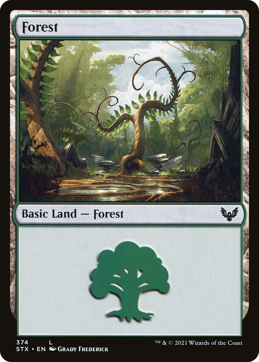 Forest (374)