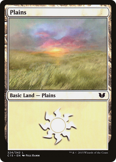 Plains (324)