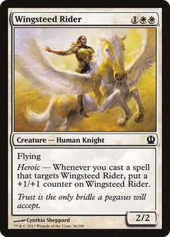 Wingsteed Rider - Foil