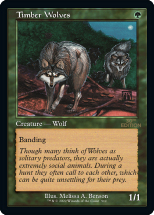 Timber Wolves (Retro Frame)