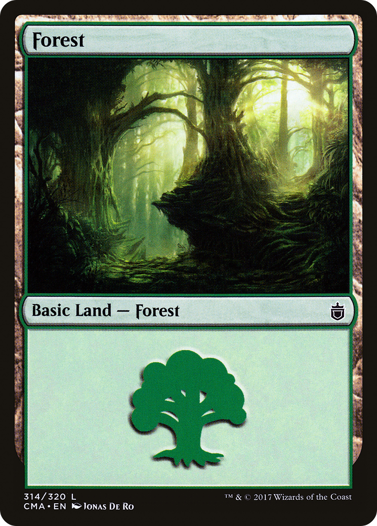 Forest (314)