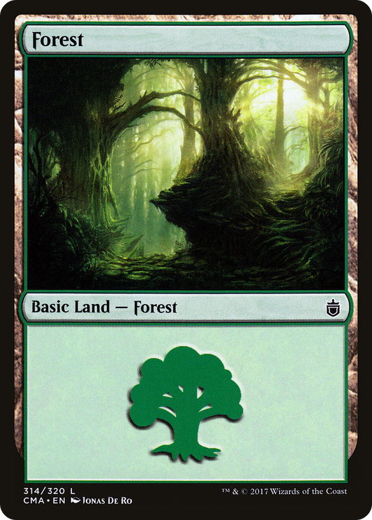 Forest (314)
