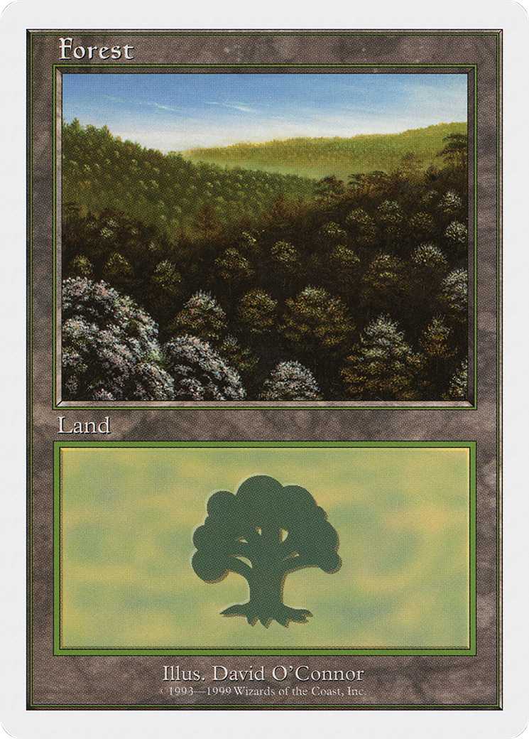 Forest (Daytime)