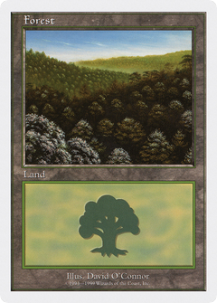 Forest (Daytime)