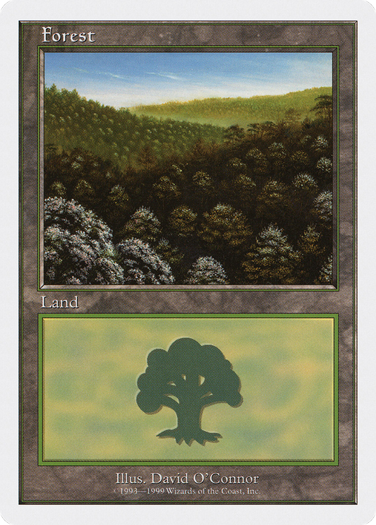 Forest (Daytime)