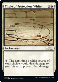Circle of Protection: White (Modern Frame)