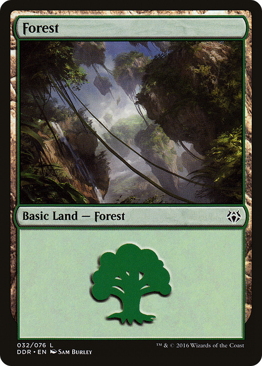 Forest (032)