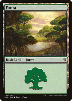 Forest (349)