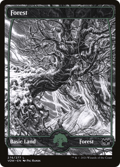 Forest (276) - Foil